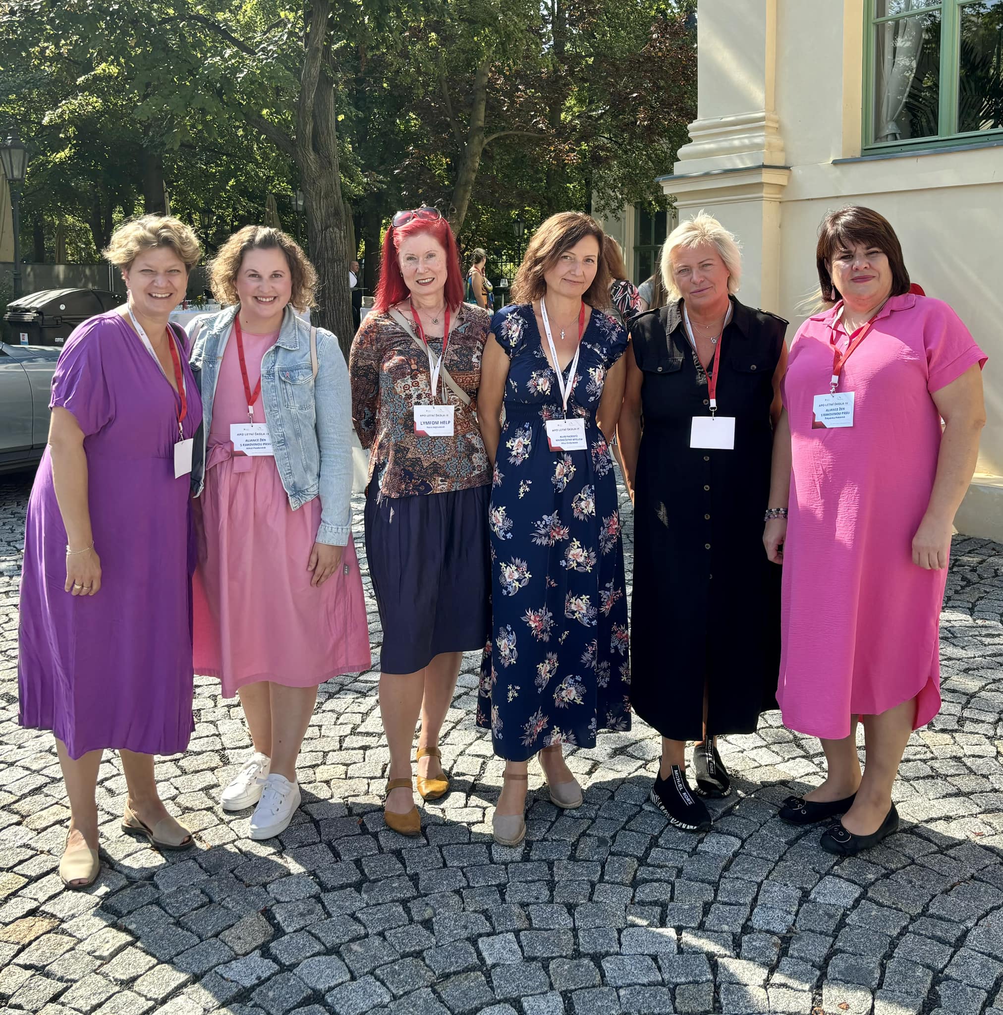 Bellisky na konferenci APO Letní škola