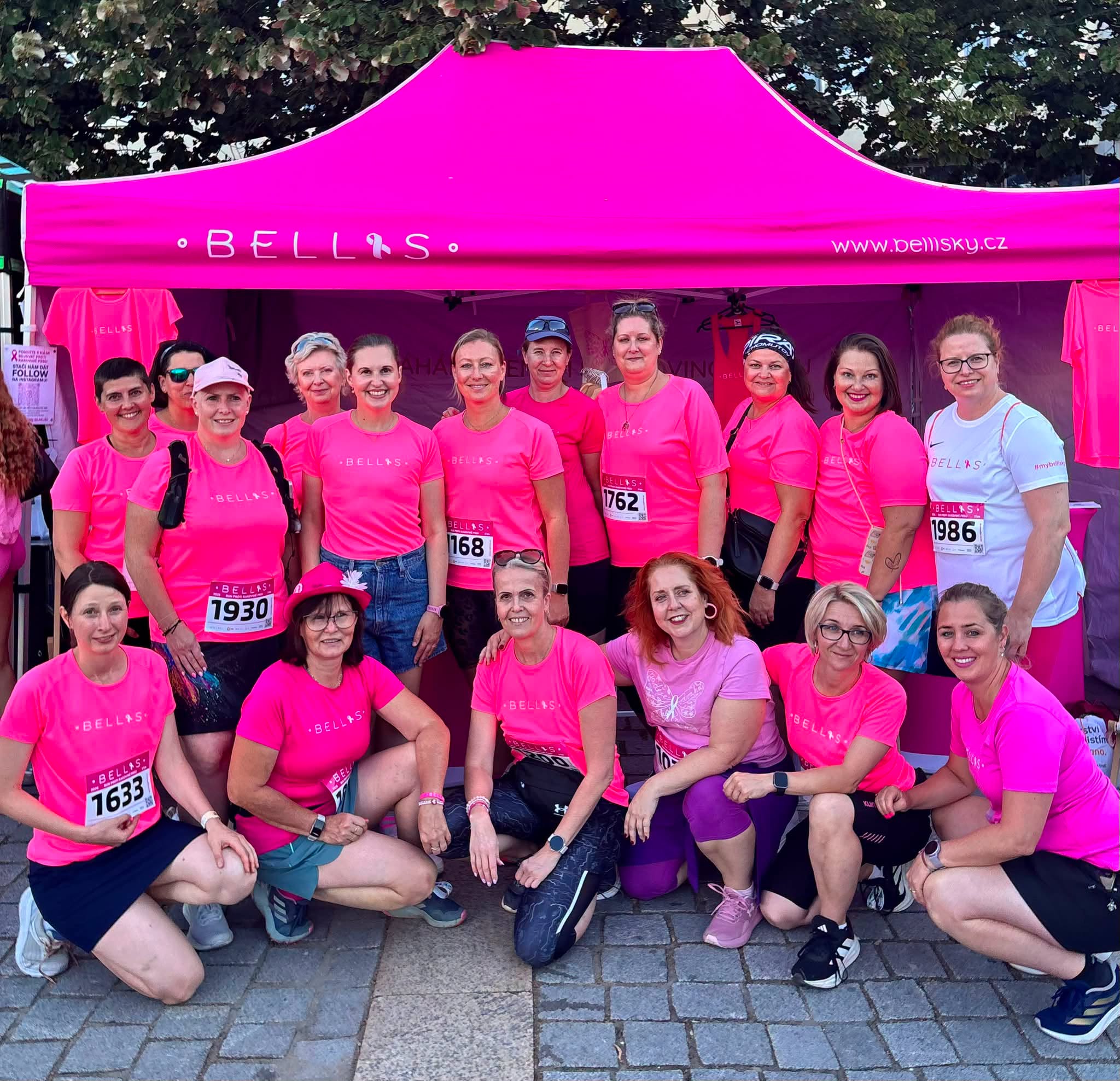 Bellis Run Most